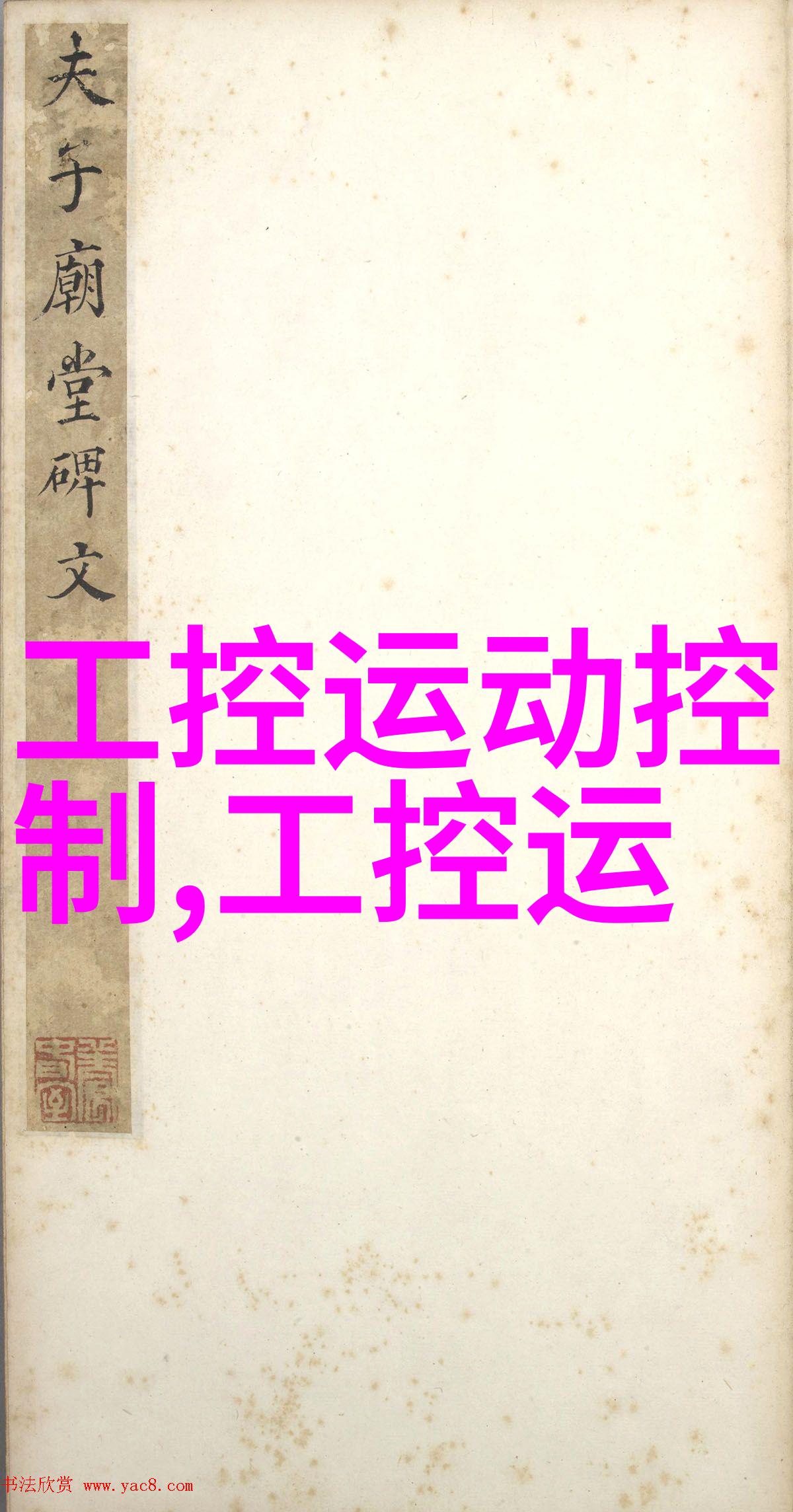 中控积极参与中阿合作论坛第三届企业家大会暨投资研讨会