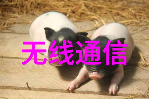 ZStack大河云联发布混合云SD-WAN产品