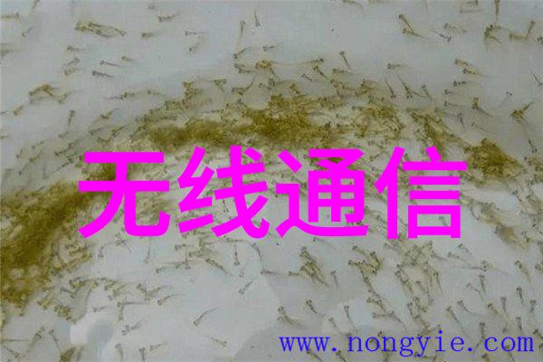 华为联合客户伙伴发布F5G全光工厂网络规划设计指南