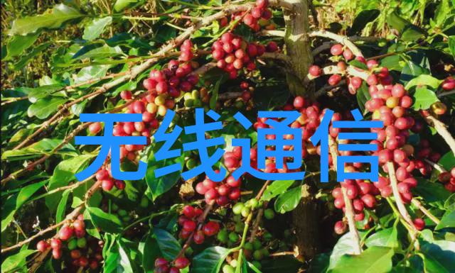 展会直击 ITES展首日锐鹰传感的展台藏着哪些工业宝藏
